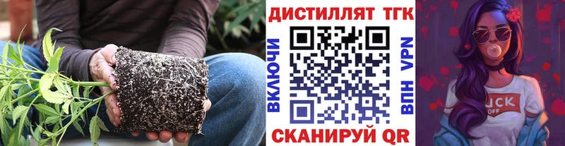 kraken маркетплейс  Улан-Удэ  ТГК жижа 