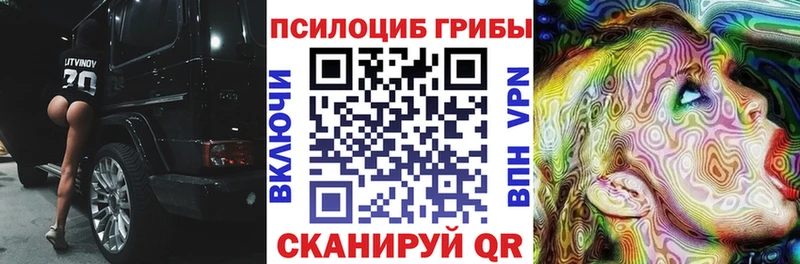 Псилоцибиновые грибы Psilocybe  гидра как зайти  Улан-Удэ  закладки 